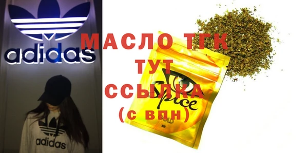 шишки Каменка