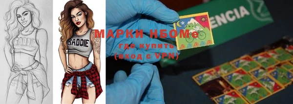 шишки Каменка