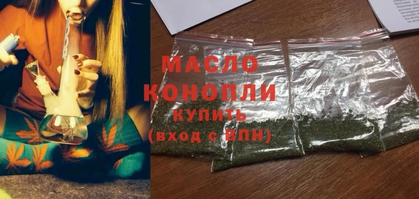 шишки Каменка