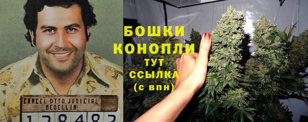 шишки Каменка