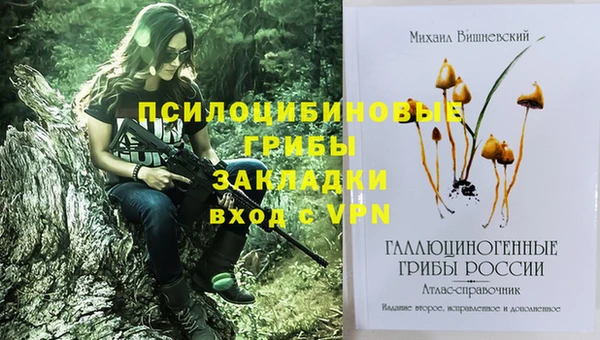 шишки Каменка