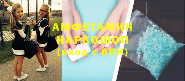 шишки Каменка