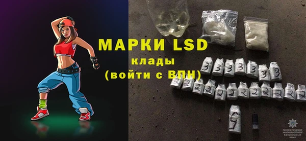 шишки Каменка