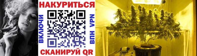Купить  Искитим  Канабис Amnesia 